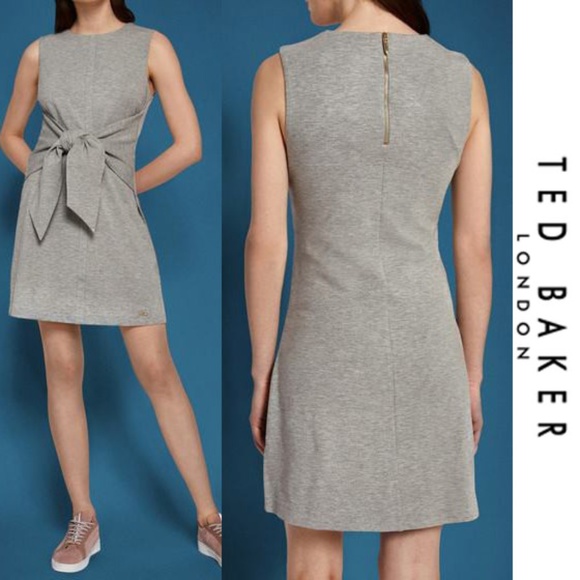 Ted Baker London Dresses & Skirts - Ted Baker London Evalina Tie Front Dress 5 XL Grey